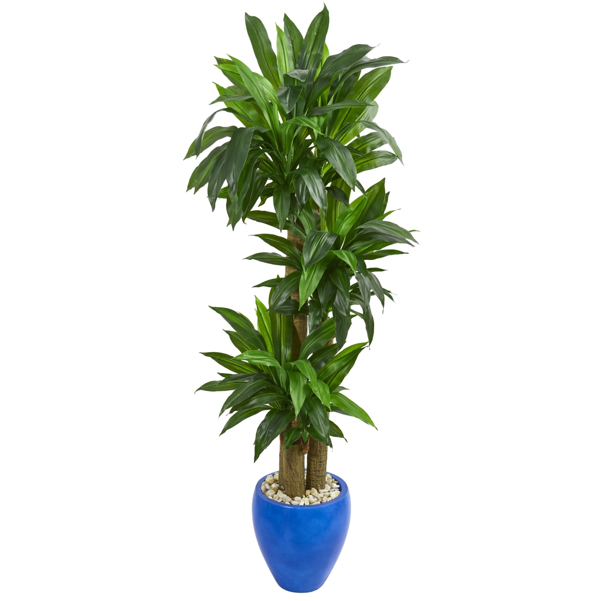 Nearly Natural 6442 6 ft. Cornstalk Dracaena Artificial Plant in Blue Planter - Real Touch