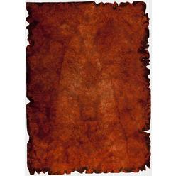 M A Trading Inc M.A. Trading MTVJA2RUS052076 62 x 10 Hand Tufted Contemporary Rug - Rust