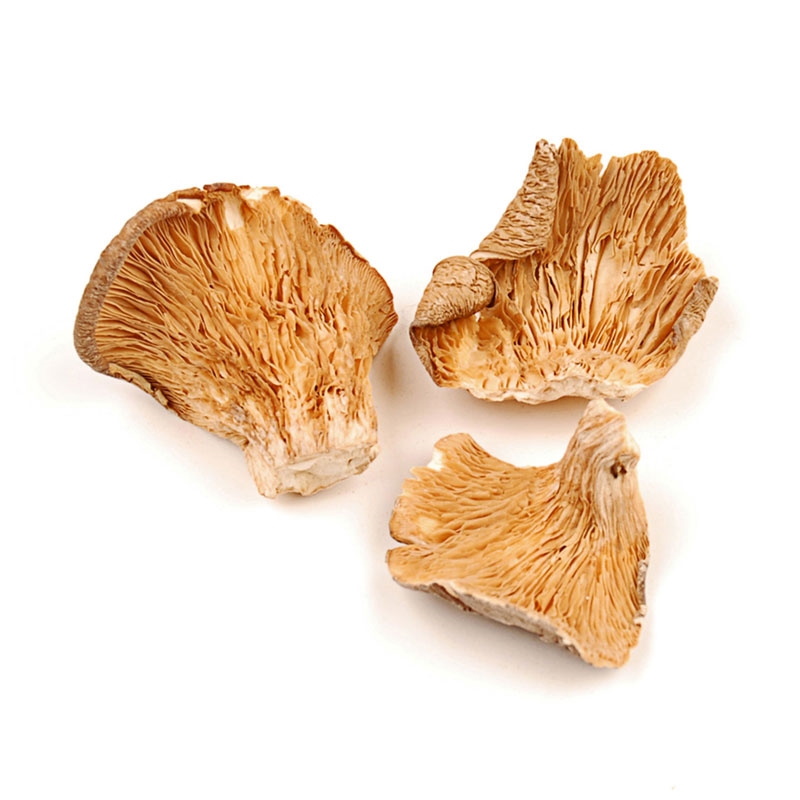 Woodland Foods 259537 Organic Dried Oyster Mushrooms, 1 Pound Bag