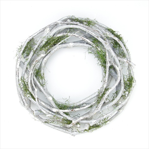 Northlight White Twig And Green Moss Artificial Wreath - Medium