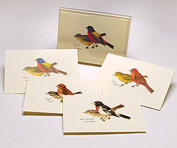 Steven Lewers & Associates Steven M. Lewers & Associates LEWERSNC17 Peterson Bird Notecard Assortment II (2 each of 4 styles)