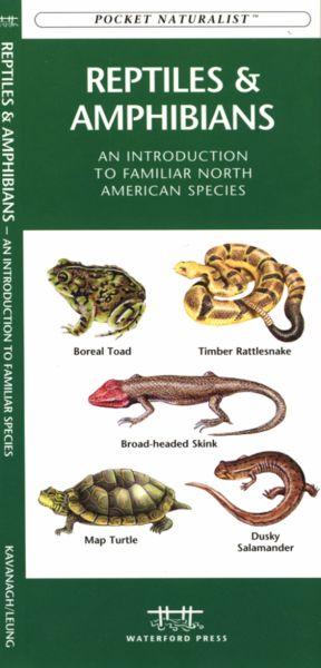 Waterford Press WFP1583551806 Reptiles and Amphibians Book: An Introduction to Familiar North American Species (North American Nature Guides)