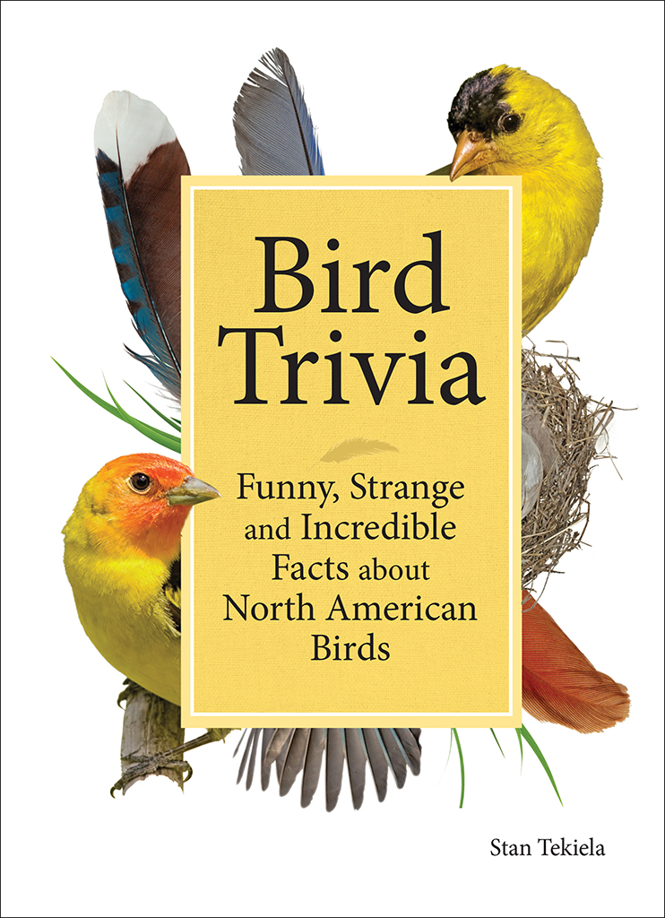 ADVENTURE KEEN AP38101 Bird Trivia Book