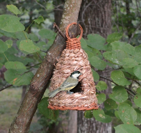 Songbird Essentials Hanging Grass Roosting Pocket Hive