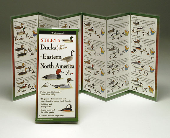 Steven Lewers & Associates Sibley's Ducks Eastern North America Book