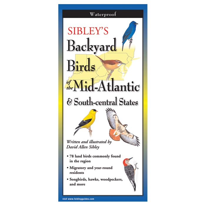 Steven Lewers & Associates Sibleys Hummingbirds Of North America