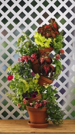 Flip Flop Flower Pot 301W Stackable Plant Stand