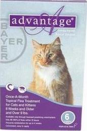 Bayer ADVANTAGE6-PURPLE Advantage 6 Pack 9 Lbs. & Up - Purple