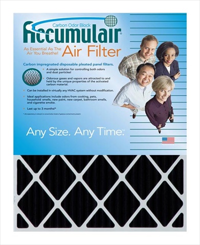 Accumulair FO19X19X4A Carbon Odor Block 4 In. Filter-  Pack of 2