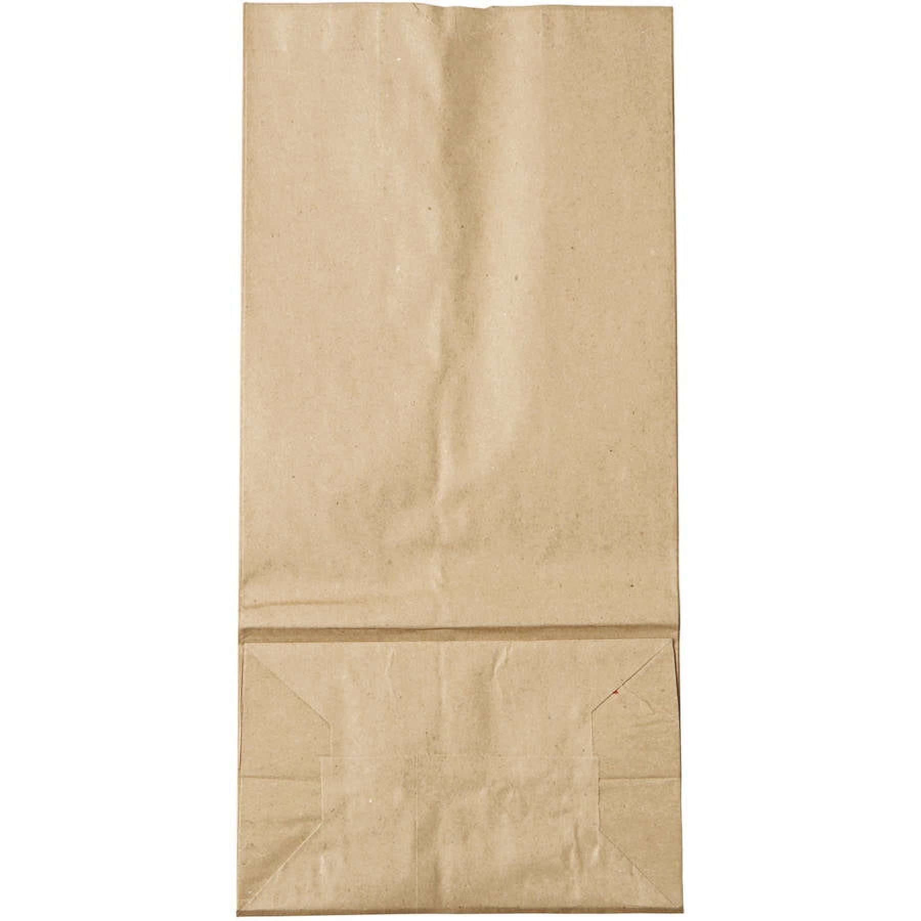 SteadyChef 18416 CPC 16 lbs Brown Grocery Bags - Case of 500