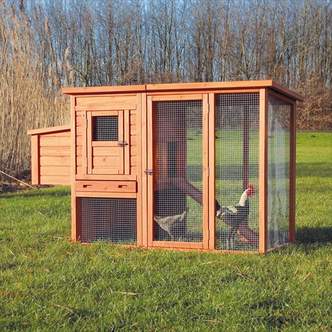 Trixie Pet Products 55961 Chicken Coop With Outdoor Run - Glazed Pine - Glazed Pine