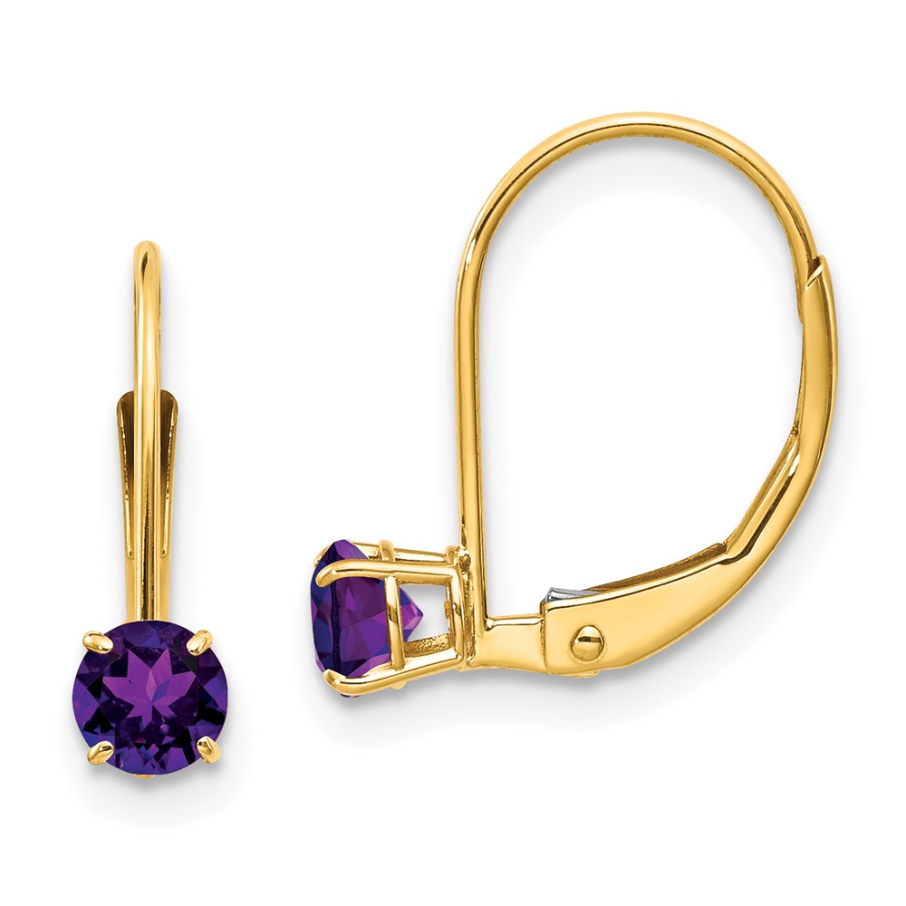 Quality Gold XBE74 14K Yellow Gold Amethyst February Earrings
