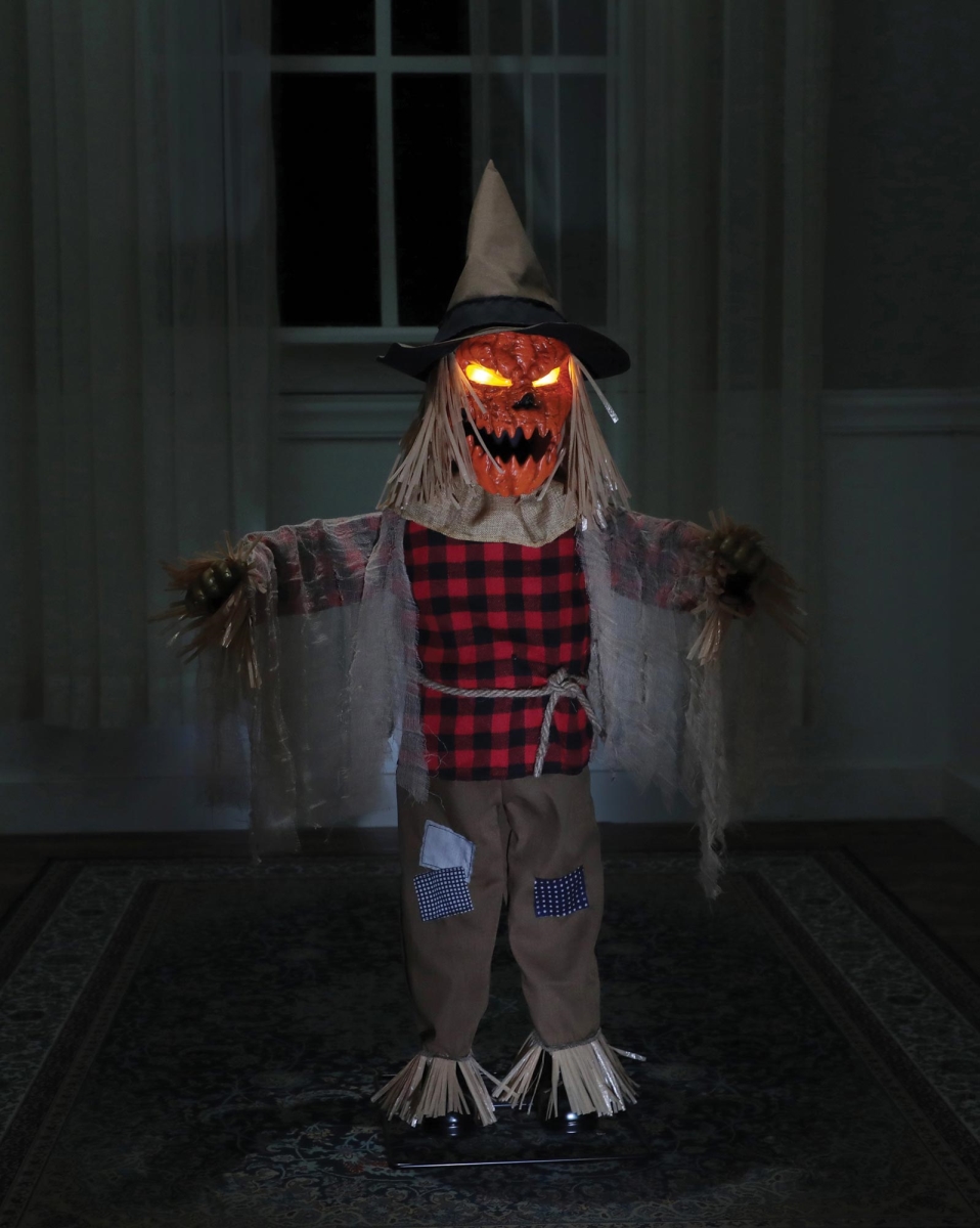 Com-Pac Filtration  Seasonal Visions MR123486 36 in. Twitching Scarecrow Animated Prop