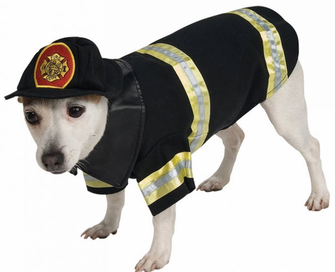 Costumes For All Occasions RU885935MD Pet Costume Firefighter Md