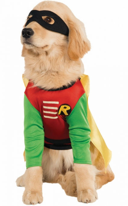 Costumes For All Occasions RU887836SM Pet Costume Robin Small