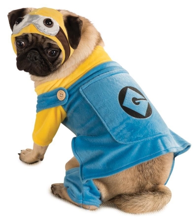 Costumes For All Occasions RU887800SM Pet Costume Minion Small