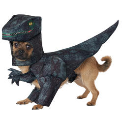 California Costume Pupasaurus Rex Dog Md