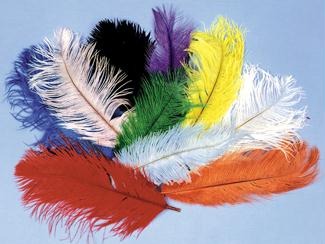 Costumes For All Occasions Bb05Pk Ostrich Plumes Pink