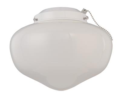 BrilliantBulb LED Schoolhouse Ceiling Fan Light Kit&#44; Damp Location
