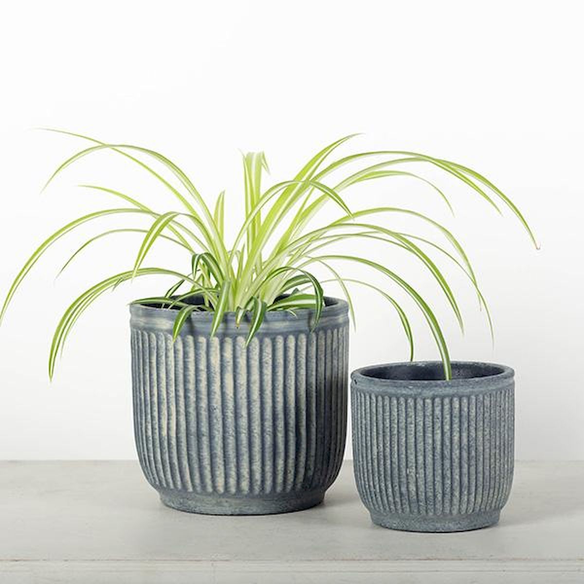Campo Rustic Blue Planters - Set of 2