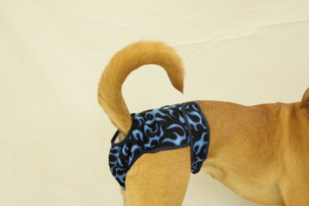 BPF Washable Female Dog Diaper&#44; Blue Flames - Fits Queen
