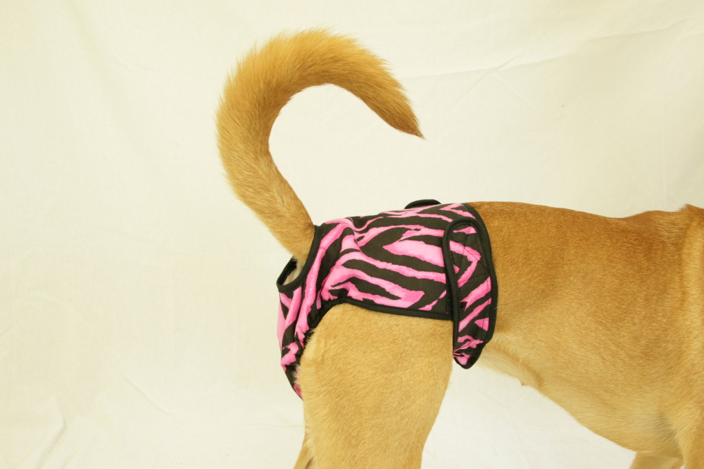 BPF Washable Female Dog Diaper&#44; Tiger - Extra Large