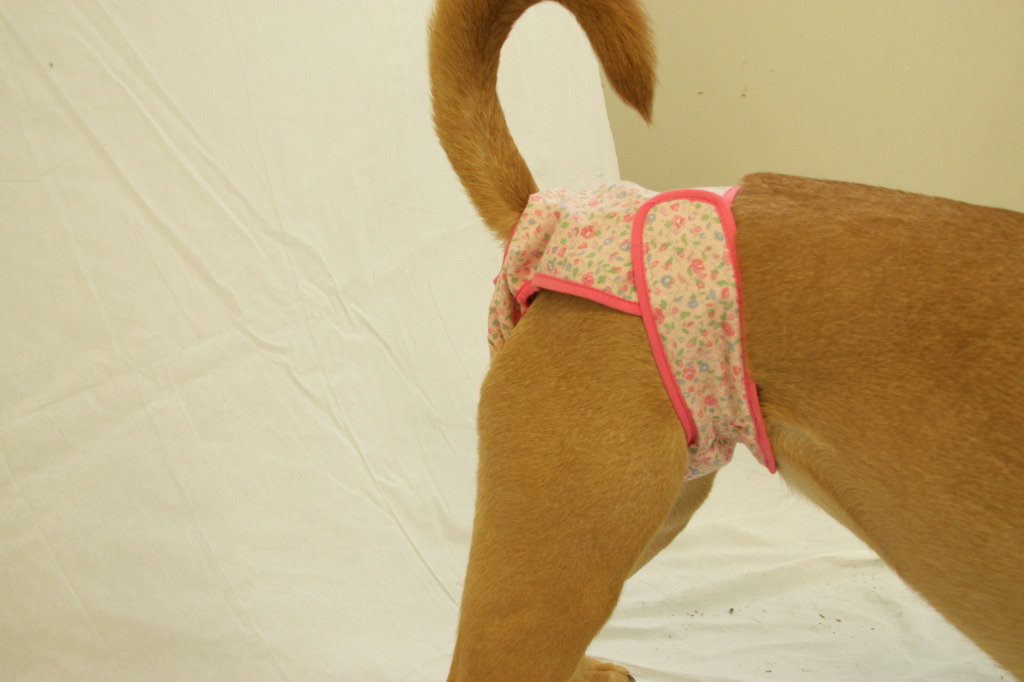 BPF Washable Female Dog Diaper&#44; Pink - Extra Large