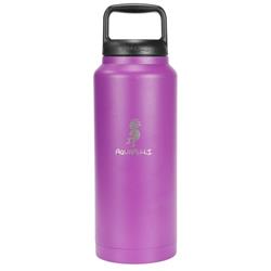 Aquapelli DDI 2350610 18 oz Stainless Steel Vacuum Insulated Water Bottle with Spout - Blue Case of 16