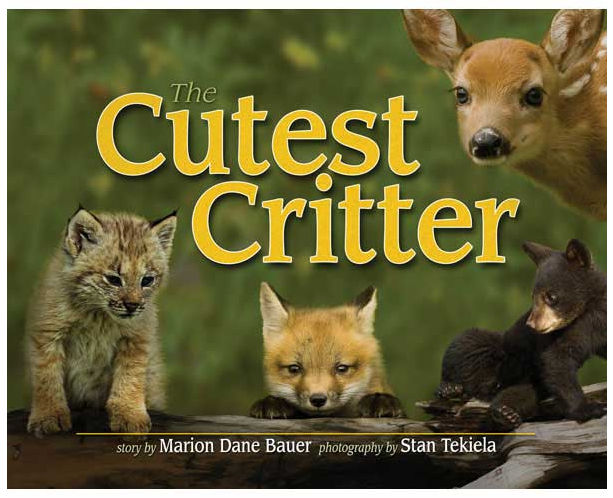 Adventure Publications AP32536 The Cutest Critter