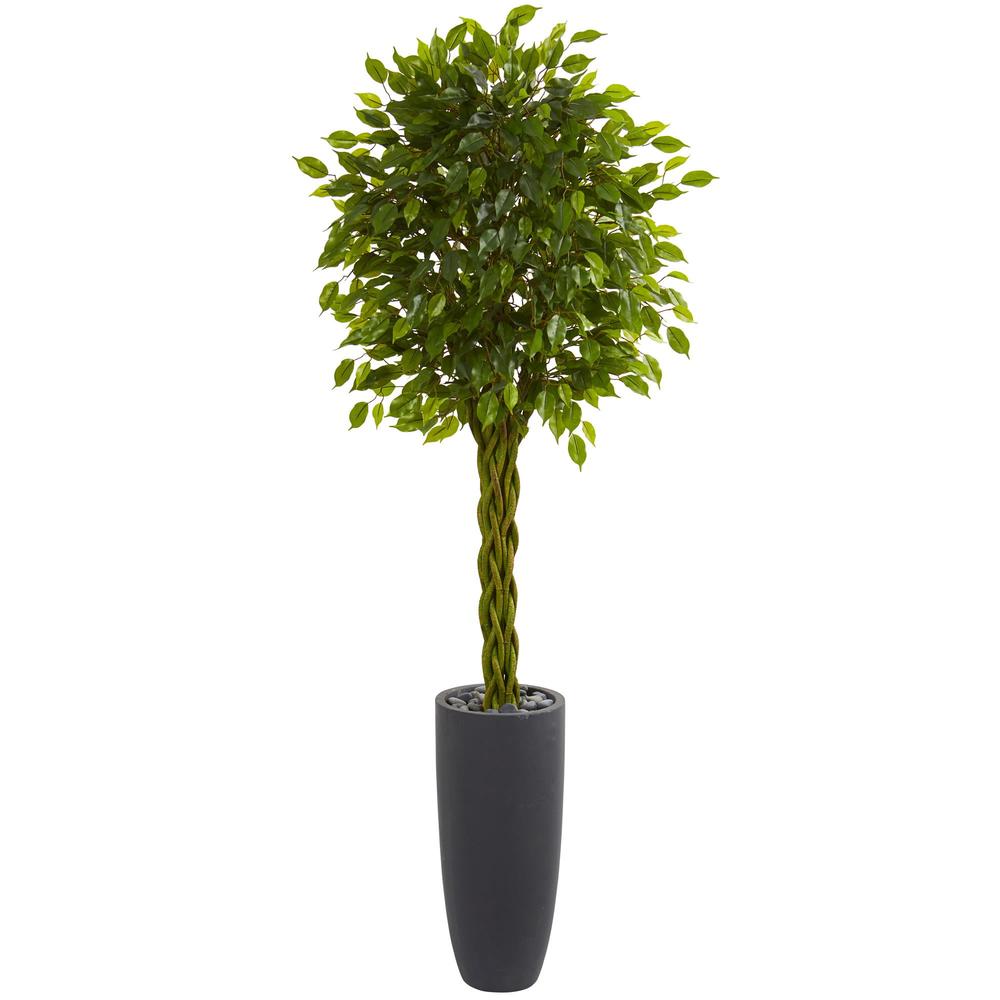 Nearly Natural 5736 6.5 ft. Braided Ficus Artificial Tree in Cylinder Planter