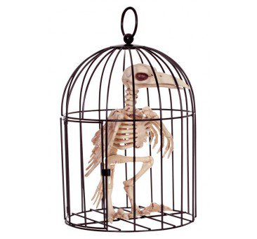 Seasons SEZ53042 Skeleton Halloween Decoration Crow in Cage