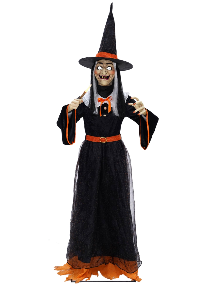  Com-Pac Filtration  Seasonal Visions MR125067 Animated Whimsical Witch Doll