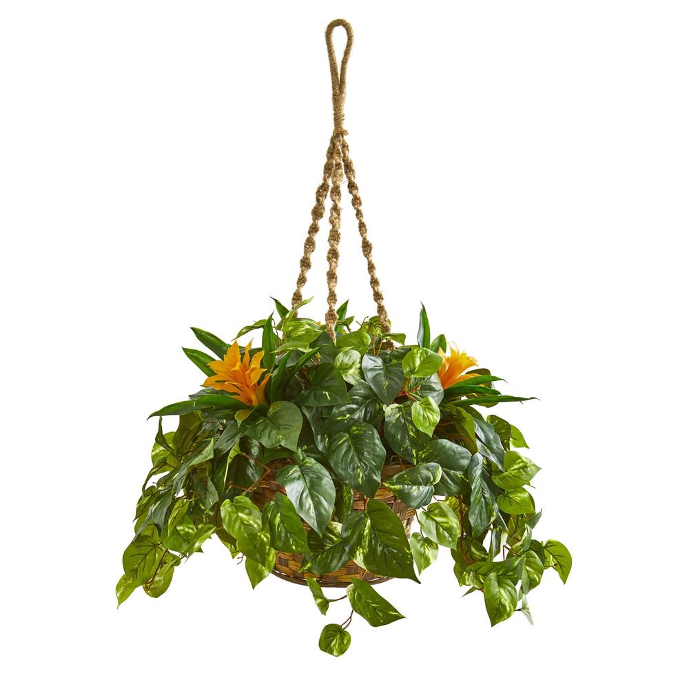 Nearly Natural 8398 31 in. Bromeliad & Pothos Artificial Plant in Hanging Basket