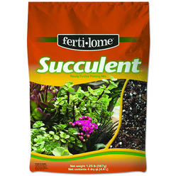 Lambert 4 qt. Succulent Mix