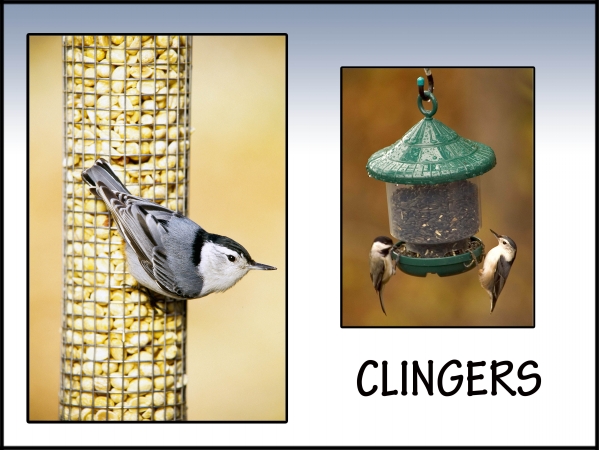 Songbird Essentials SESIGNCLINGER Clingers Sign