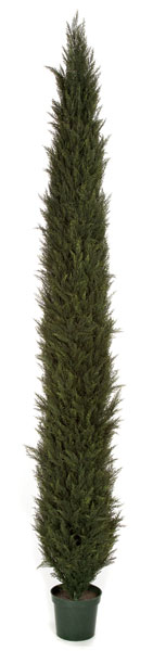 Autograph Foliages AUV-150012 12 ft. Pond Cypress Tree, Tutone Green