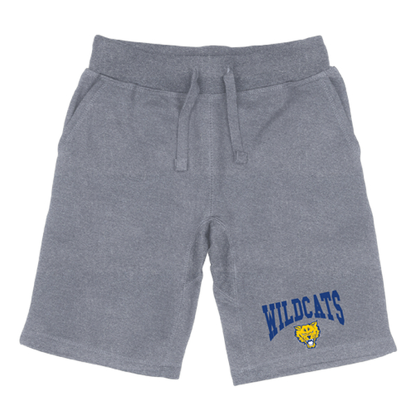 W Republic 567-642-HGY-02 Fort Valley State University Wildcats Premium Shorts&#44; Heather Grey - Medium