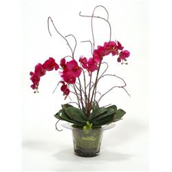 Distinctive Designs International Inc Distinctive Designs 7523 Violet Orchid with Kiwi Vines&#44; Birch Twigs & Preserved Orchid Bark in Glass Planter