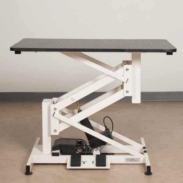 PetEdge 36 x 24 in. Master Equipment Z lift II Electric Tables