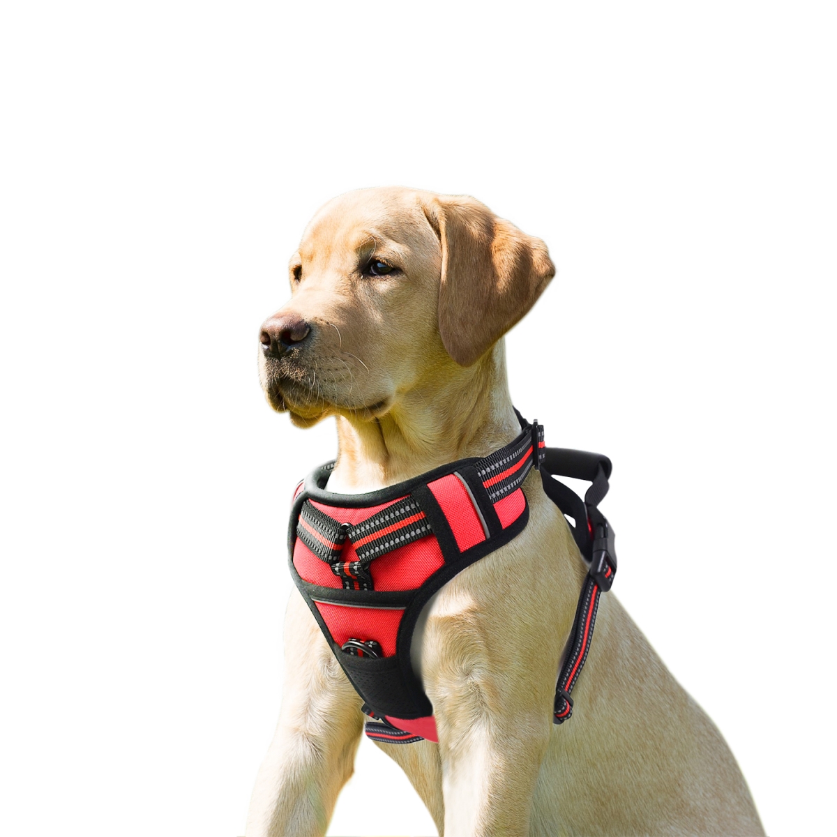 GOOPAWS GDH-1726RD GOOPAWS Padded Reflective Dog Harness&#44; Easy Control Lightweight Dog Harness&#44; Adjustable Outdoor Pet Harness f