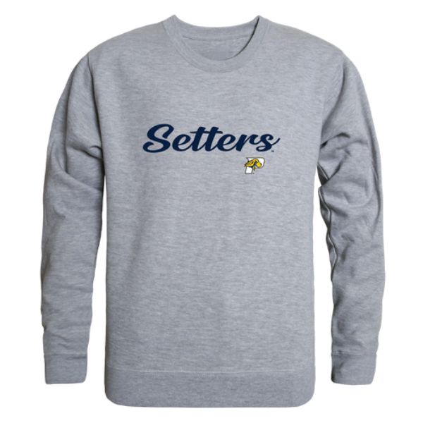 Pace best sale university crewneck