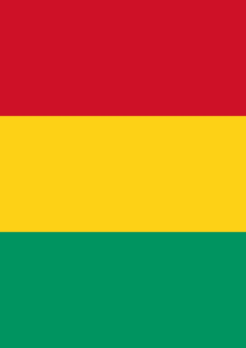 Toland Home Garden 1010630 Flag of Guinea House Flag