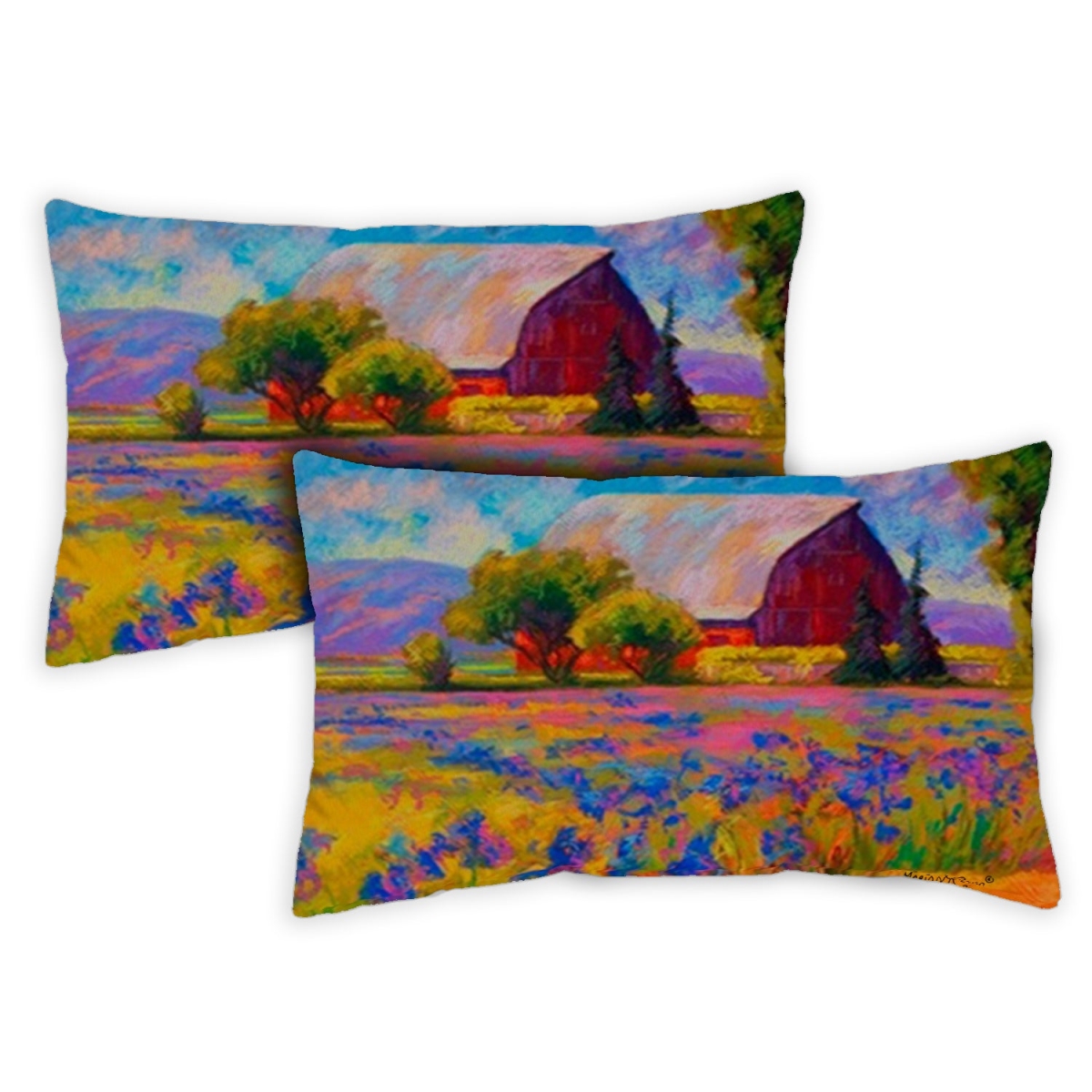 Toland Home Garden 771289 12 x 19 in. Lavender Farm Indoor & Outdoor Pillow Case - Set of 2