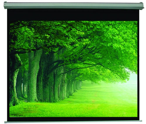 Tyger Claw PM6302 TygerClaw 100 in. Noiseless Motorized Projector Screen - Black