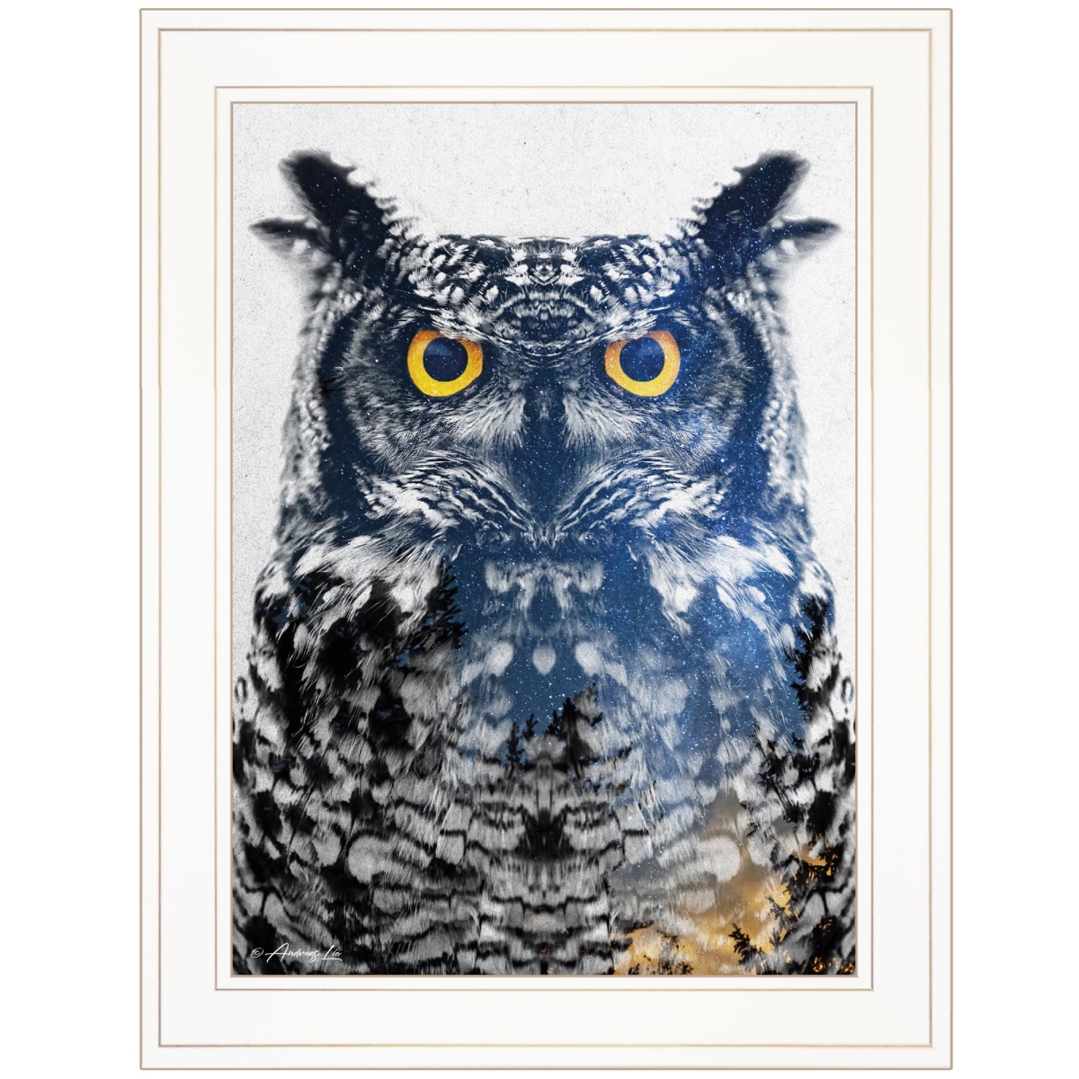HomeRoots 405102 19 x 15 x 1 in. Night Owl 2 White Framed Print Wall Art
