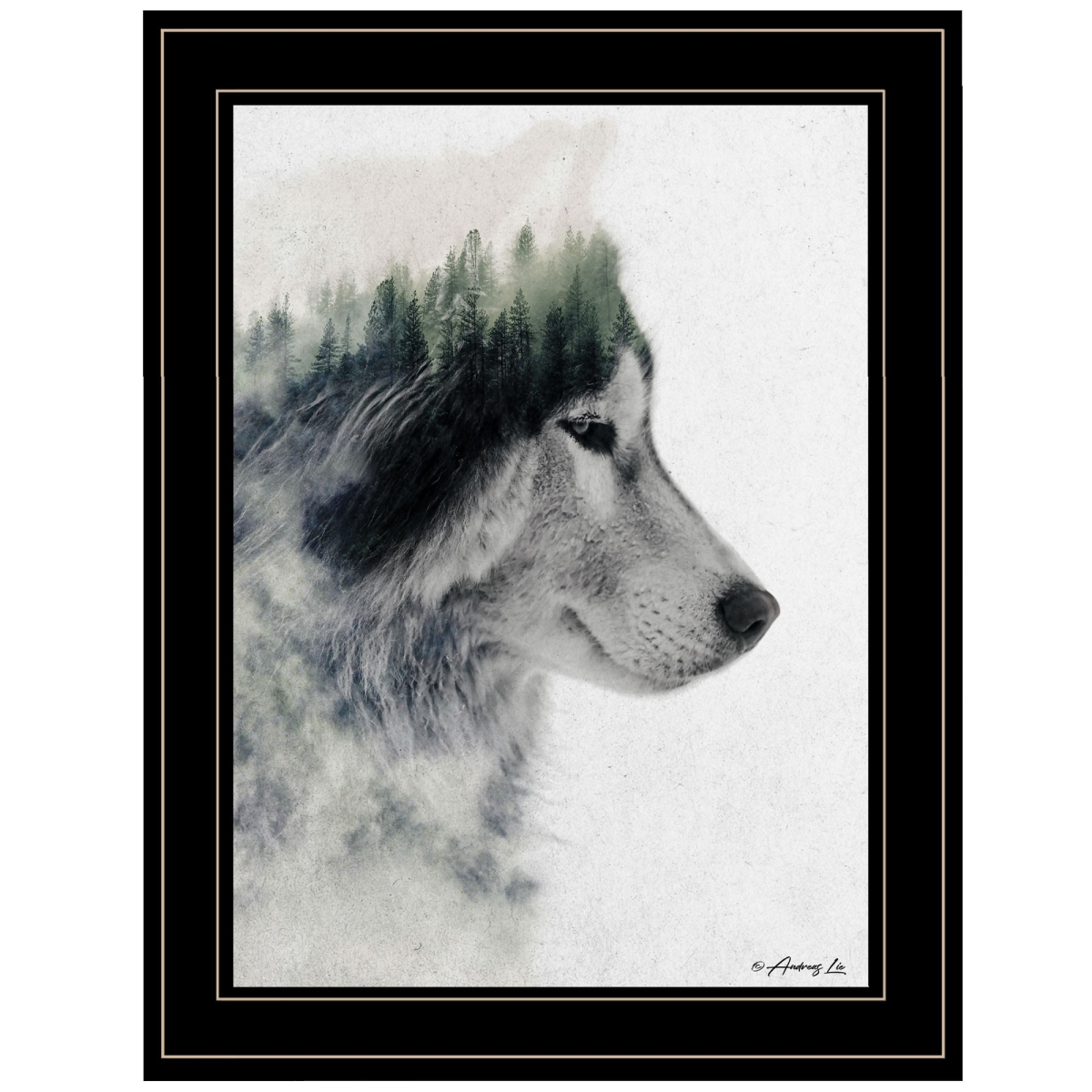 HomeRoots 405079 19 x 15 x 1 in. Wolf Stare 2 Black Framed Print Wall Art