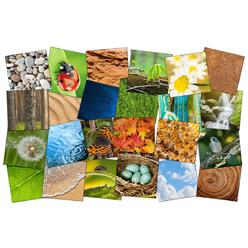 Flagship Carpets 1595546 Natures Beauty Stow-N-Go Carpet Squares, 16 in., Set of 24