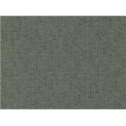 Covington ASTER-98 Woven Aster 98 Fabric, Barker Charcoal