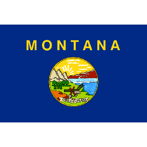 Fox Outdoor 84-626 3 x 5 ft. Montana State Flag