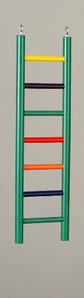 Prevue Pet Products 550-01136 Prevue Pet Products Carpenter Creations 7 Rung 15 in Colored Solid Wood Ladder